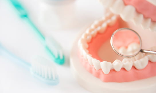 徹底的な予防への取り組み