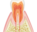 歯